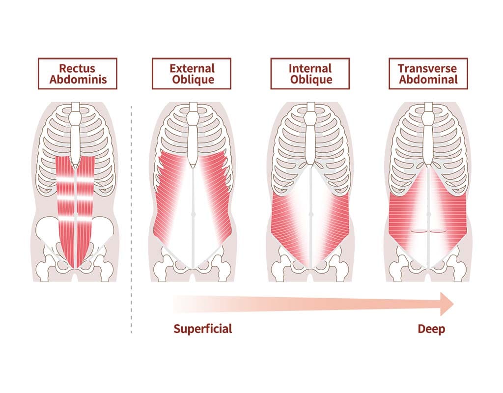 The core muscles primarily work when you do heel tap abs