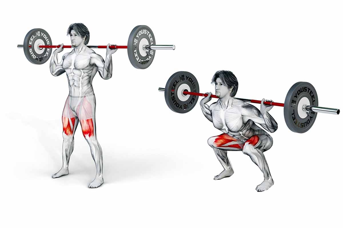 High bar squats predominantly work your quadriceps