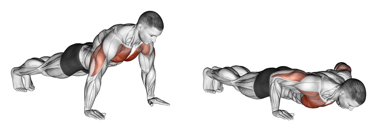 Incline push ups lower chest sale